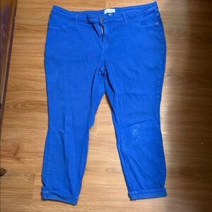 LILA RYAN Royal Blue Pants